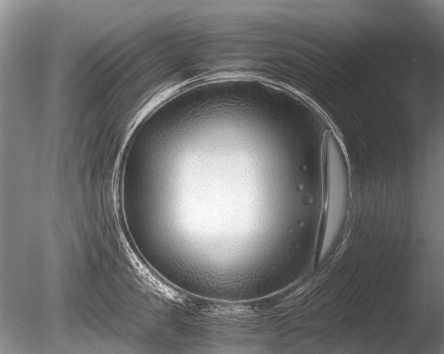 X0000086040957200703301036