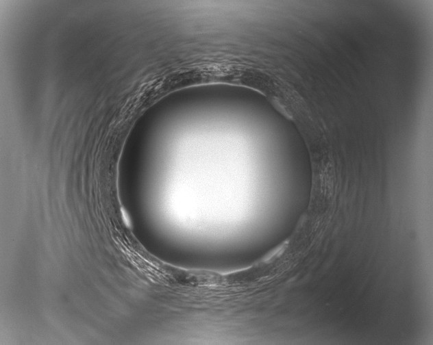 X0000086040961200703301035