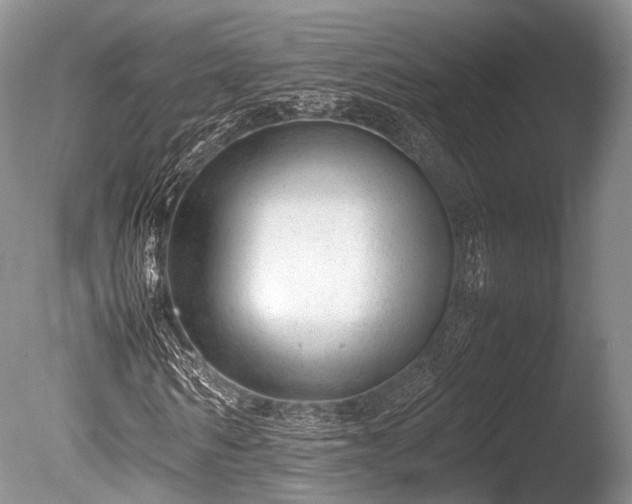 X0000086040962200703301035