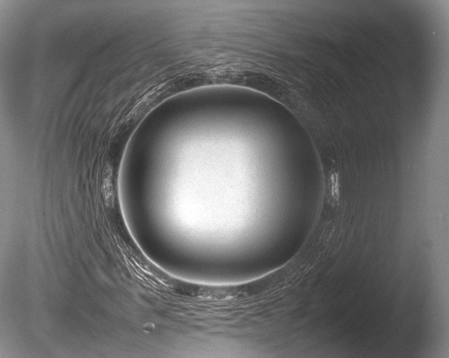 X0000086040963200703301035