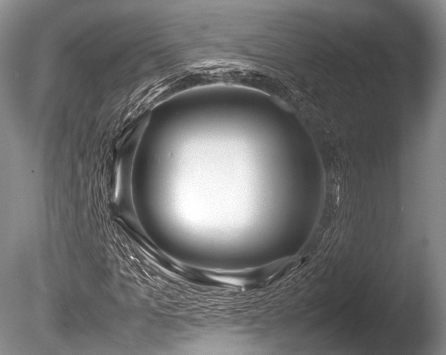 X0000086040965200703301035