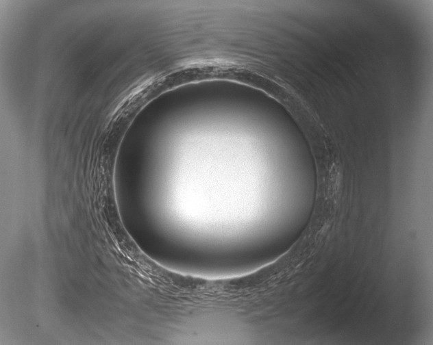 X0000086040967200703301035