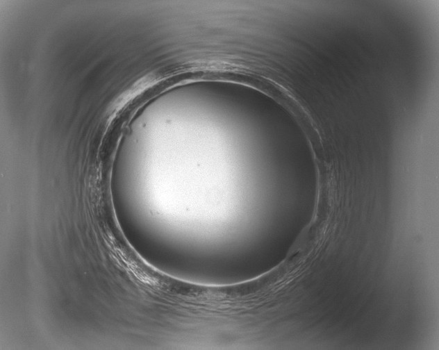 X0000086040971200703301035