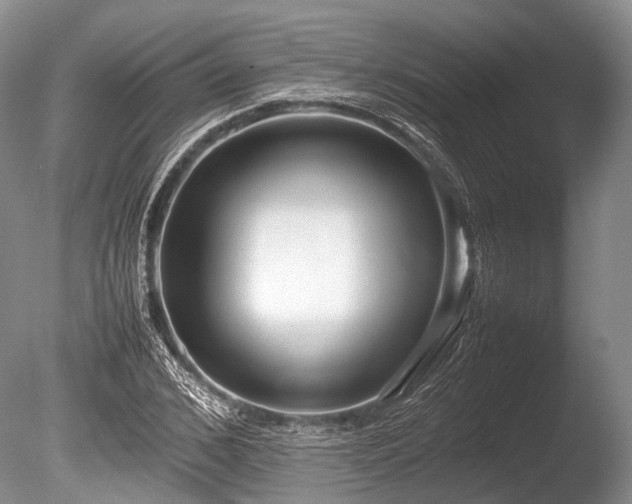 X0000086040976200703301035