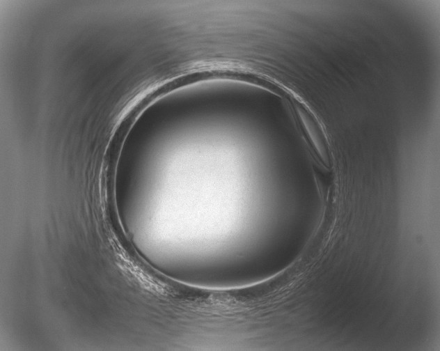 X0000086040983200703301035