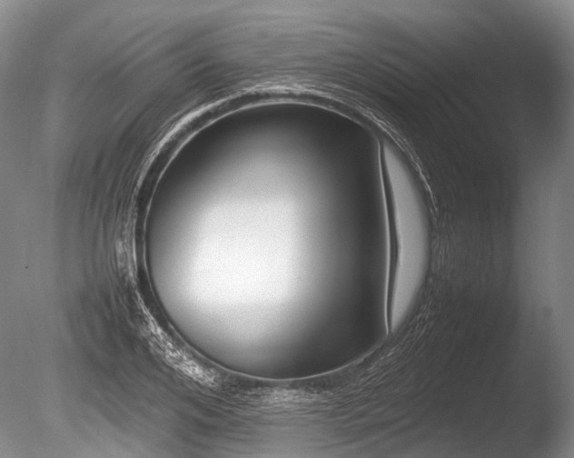 X0000086040984200703301035