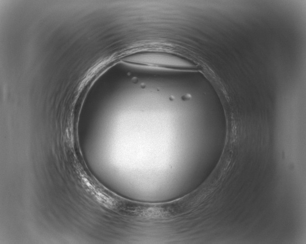 X0000086040986200703301035