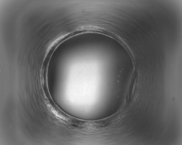 X0000086040987200703301035