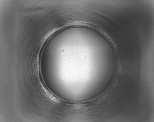 X0000086040988200703301035