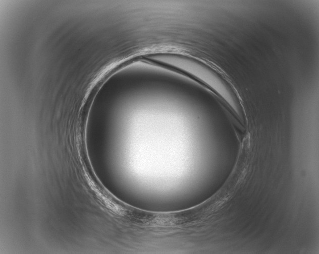 X0000086040989200703301035