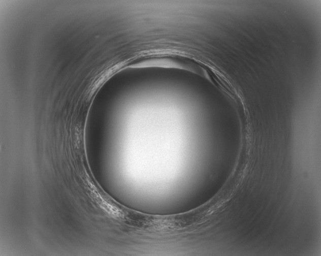 X0000086040993200703301034