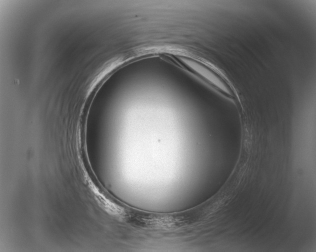 X0000086040999200703301034