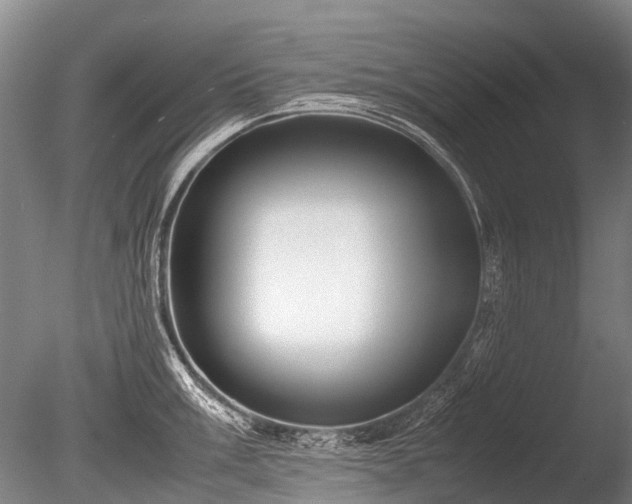 X0000086041003200703301034