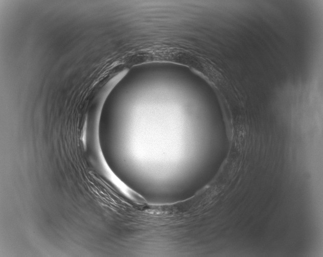 X0000086041010200703301033