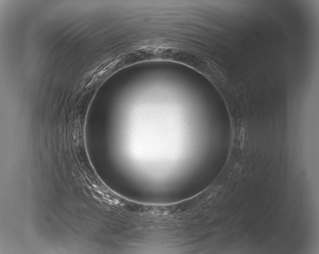 X0000086041014200703301033
