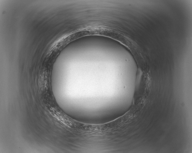 X0000086041016200703301033
