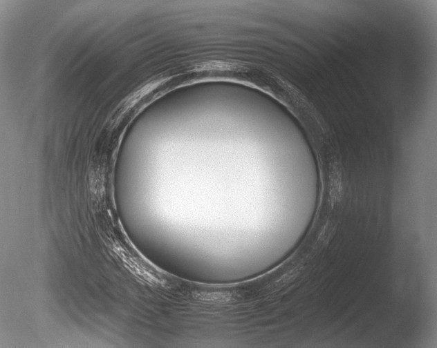 X0000086041017200703301034