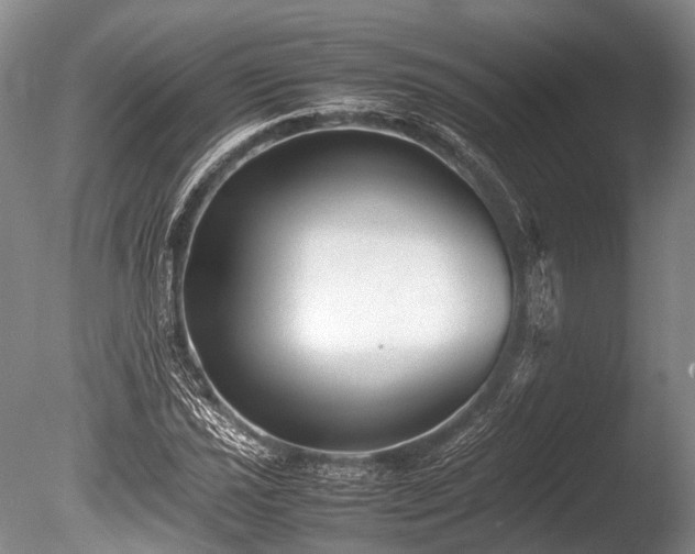 X0000086041021200703301034