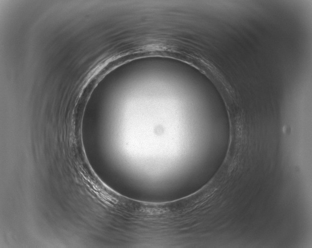 X0000086041023200703301034