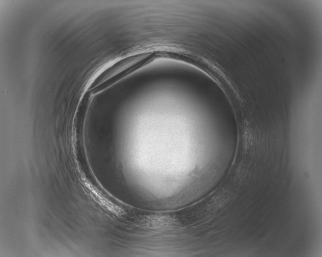 X0000086041024200703301034