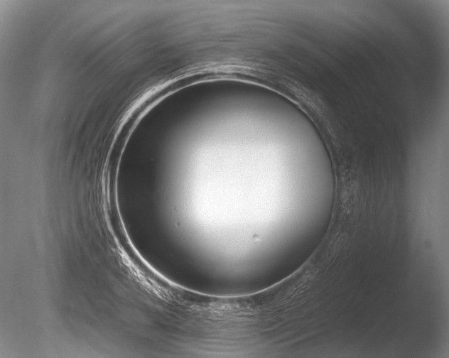 X0000086041032200703301034