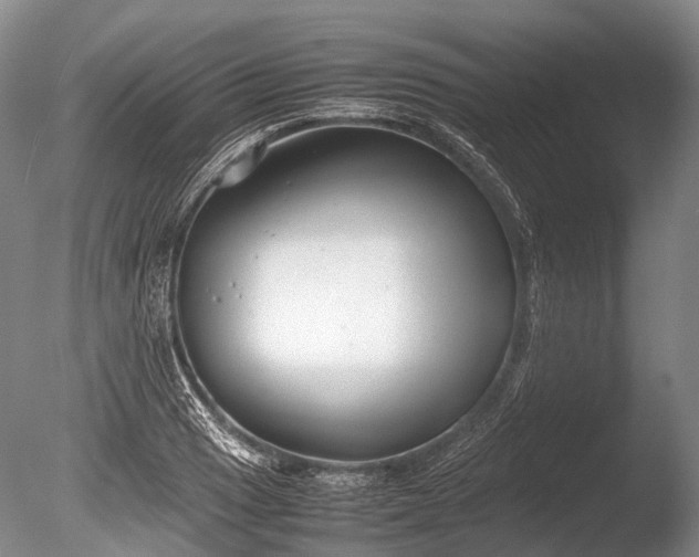 X0000086041033200703301034