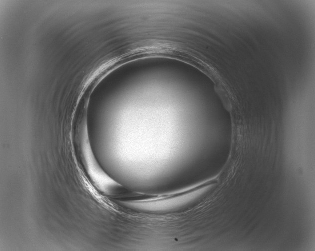 X0000086041034200703301034