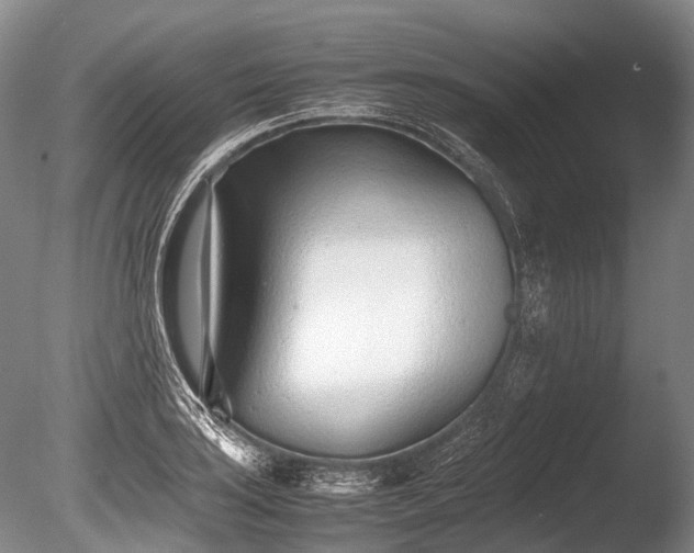 X0000086041035200703301034