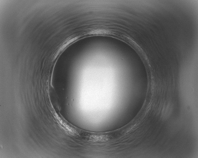 X0000086041041200703301034