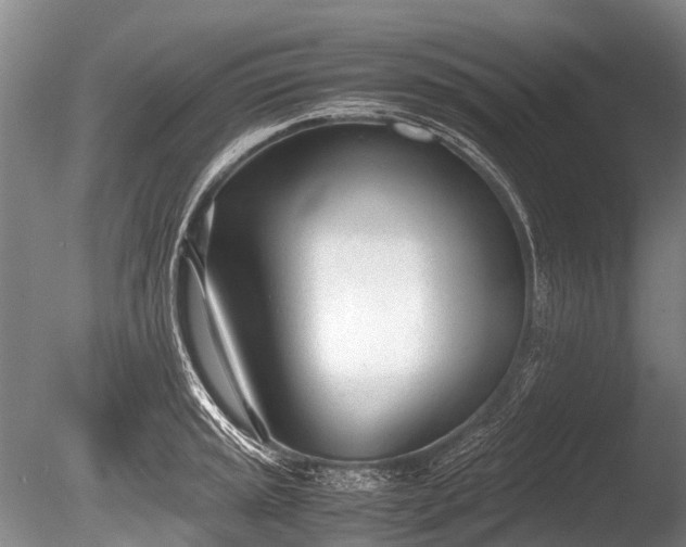 X0000086041045200703301034