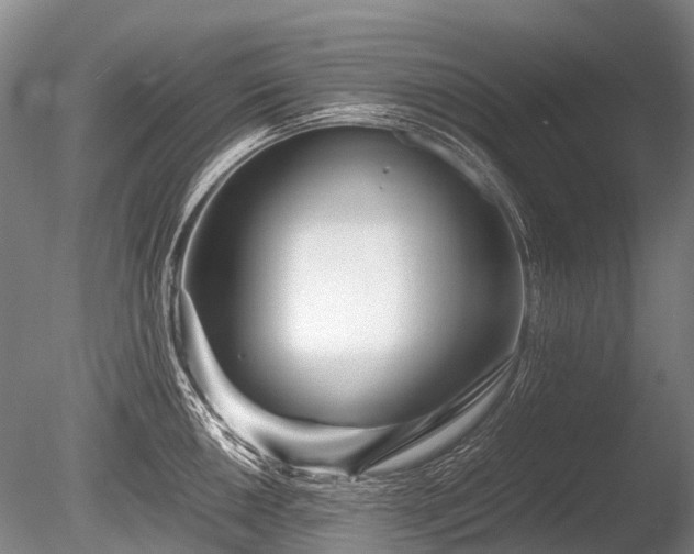 X0000086041050200703301034