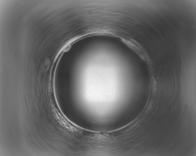 X0000086041052200703301034