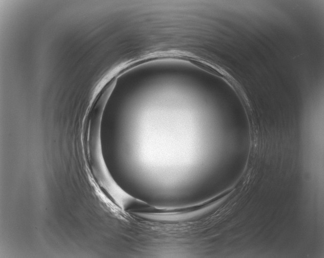 X0000086041054200703301034