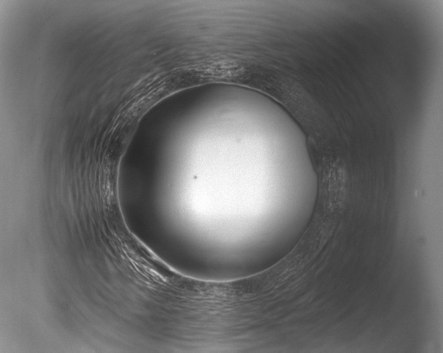 X0000086041058200703301033