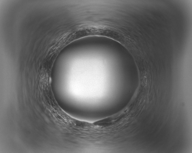 X0000086041061200703301033