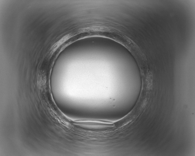 X0000086041065200703301033