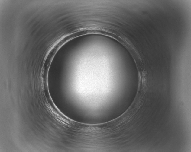 X0000086041068200703301033