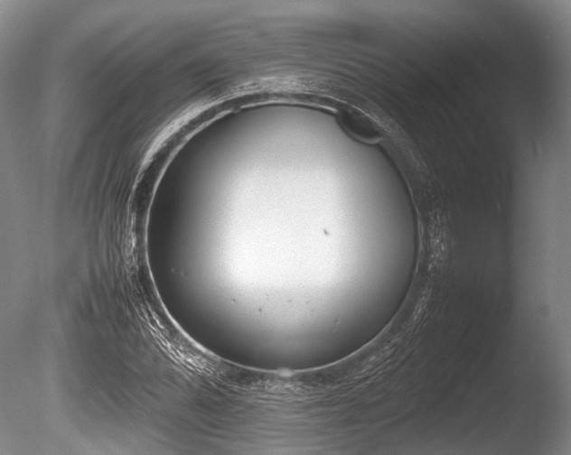 X0000086041070200703301033
