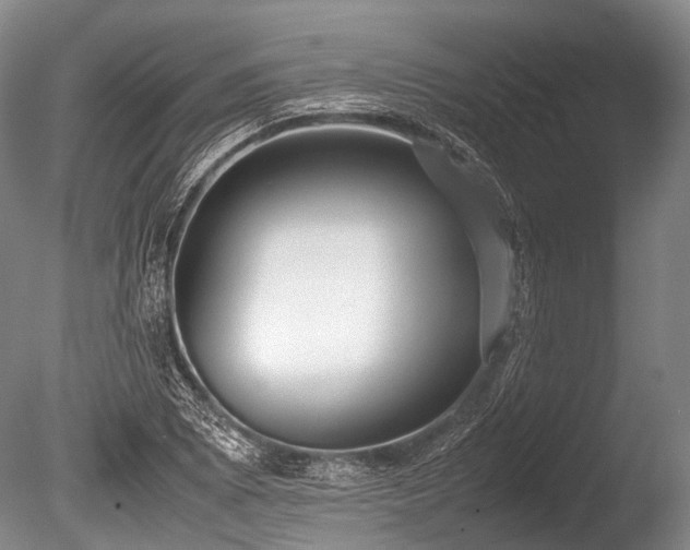 X0000086041073200703301033