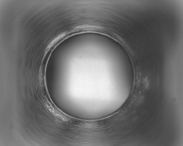 X0000086041074200703301033