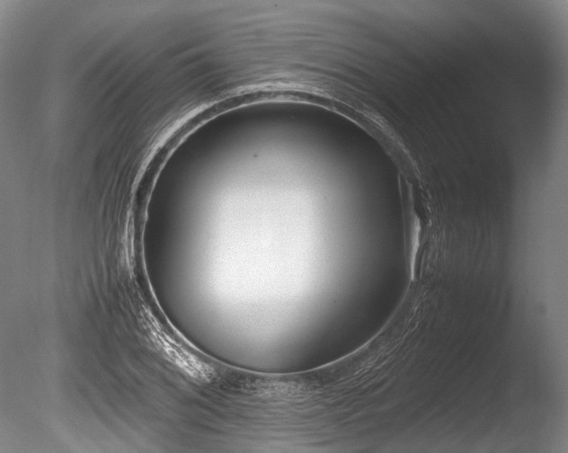 X0000086041076200703301033