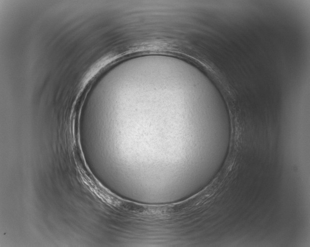 X0000086041078200703301033