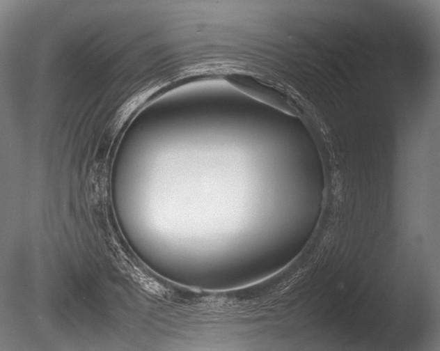 X0000086041081200703301033