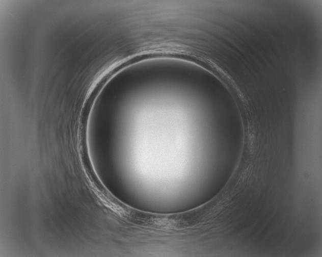 X0000086041085200703301033