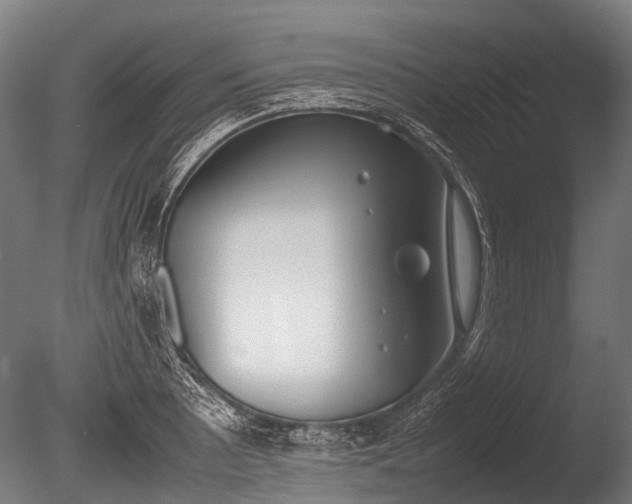 X0000086041089200703301033