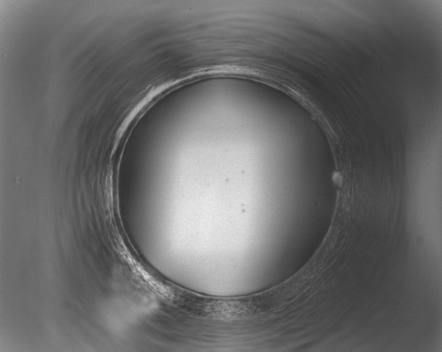 X0000086041092200703301033