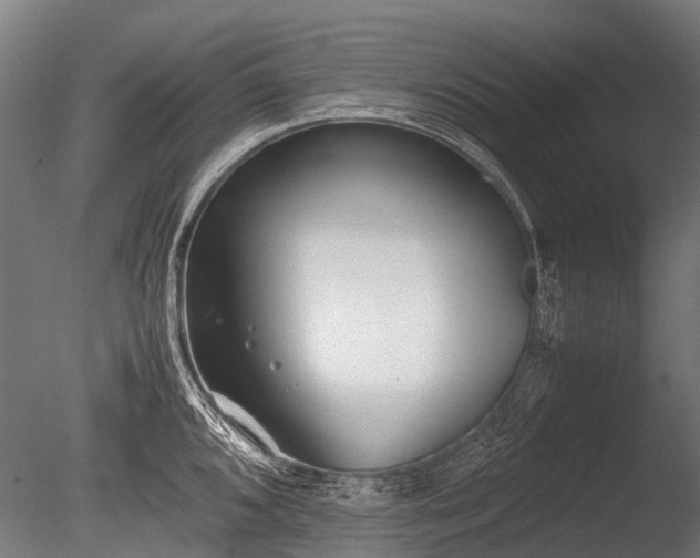 X0000086041096200703301033