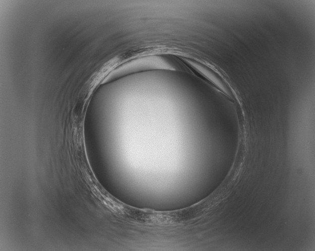X0000086041097200703301033