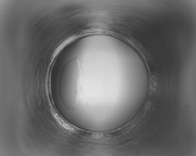 X0000086041098200703301033
