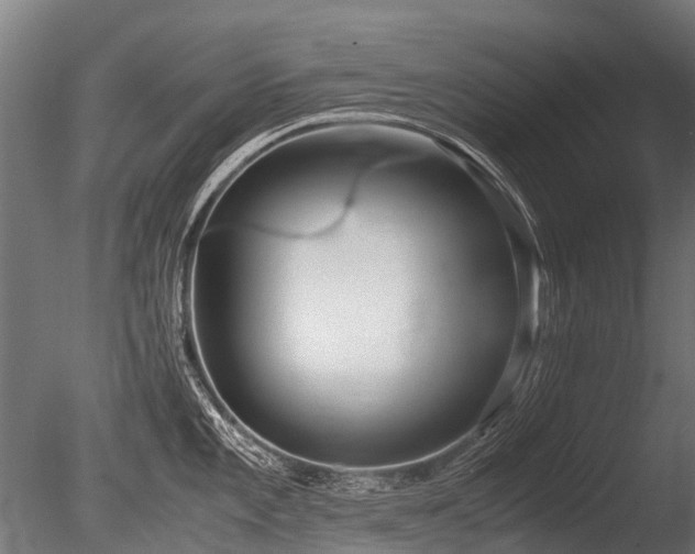 X0000086041101200703301033